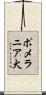 ポメラニア犬 Scroll