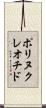 ポリヌクレオチド Scroll
