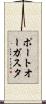 ポートオーガスタ Scroll