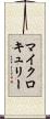 マイクロキュリー Scroll