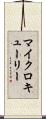 マイクロキューリー Scroll
