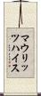 マウリッツハイス Scroll