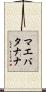 マエバタナナ Scroll