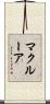McClure Scroll