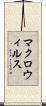 マクロ・ウィルス Scroll