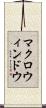 マクロ・ウィンドウ Scroll