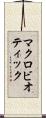 マクロビオティック Scroll