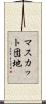 マスカット団地 Scroll