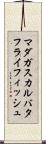 マダガスカルバタフライフィッシュ Scroll