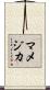 マメジカ Scroll