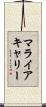 マライアキャリー Scroll