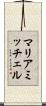 マリアミッチェル Scroll