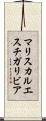 マリスカルエスチガリビア Scroll