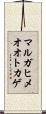 マルガヒメオオトカゲ Scroll