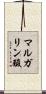 マルガリン酸 Scroll