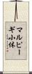 マルピーギ小体 Scroll