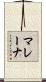 Malayna Scroll