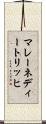 マレーネディートリッヒ Scroll
