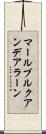 マールブルクアンデアラーン Scroll
