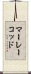 マーレーコッド Scroll