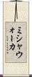ミシャウォーカ Scroll