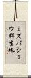 ミズバショウ群生地 Scroll