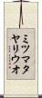 ミツマタヤリウオ Scroll