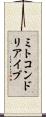 ミトコンドリア・イブ Scroll