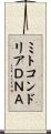 ミトコンドリアＤＮＡ Scroll