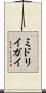 ミドリイガイ Scroll