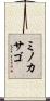 ミノカサゴ Scroll