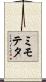 ミモテタ Scroll
