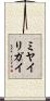 ミヤイリガイ Scroll