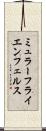 ミュラーフライエンフェルス Scroll