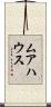 ムアハウス Scroll
