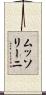 ムッソリーニ Scroll