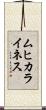 ムヒカライネス Scroll
