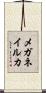 メガネイルカ Scroll