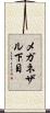 メガネザル下目 Scroll