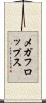 メガフロップス Scroll