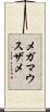 メガマウスザメ Scroll