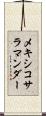 メキシコ・サラマンダー Scroll