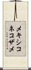 メキシコネコザメ Scroll