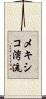 メキシコ湾流 Scroll