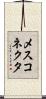 メスコネクタ Scroll