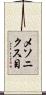 メソニクス目 Scroll