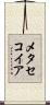 メタセコイア Scroll