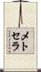 メトセラ Scroll