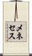 Meneses Scroll