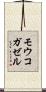 モウコガゼル Scroll